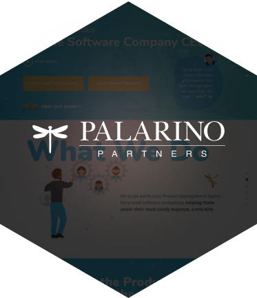 Palarino Partners